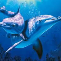 Виталий Удалов | Киров