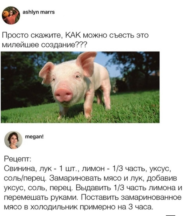 ZBZH0qOw4fQ.jpg