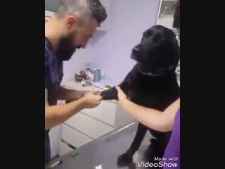 Я не трус...