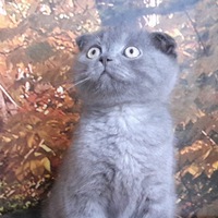 Алексей Карташов | Челябинск