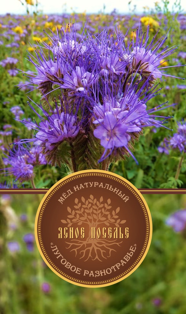 Афиша Омск Пред продажа меда сезона 2019.