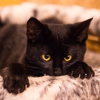 Оксана Латыш