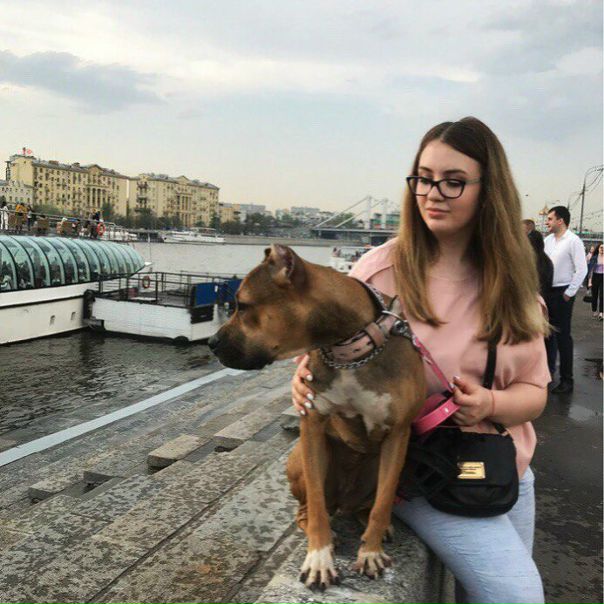Фото: Здравствуйте, ищу однушку или комнату в девушке в пешей доступности от метро, без ковров на стене. Интересует ЦАО, ЮЗАО. Я студентка медицинского университета, со мной воспитанная и добрая собака.<br> Якубова