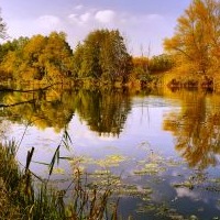 Зоя Колесник