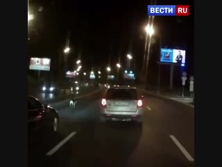 Друг в беде не бросит: неравнодушный водитель перевел собаку через дорогу в Москве.