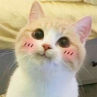 Саша Ефимова | 