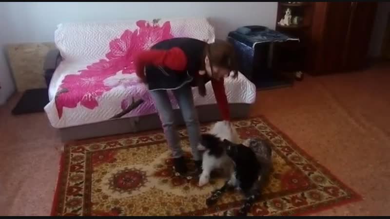 Пава и Леля кувырки