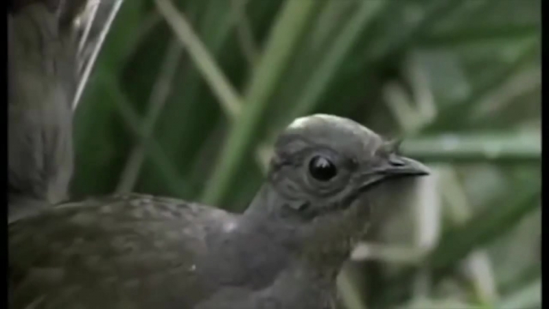 20180722_205809_edited.mp4