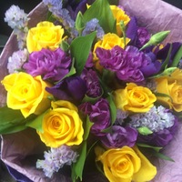 Светлана Андриенко |