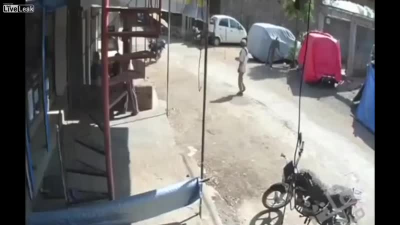 Обезьяна беспредельщица 😃