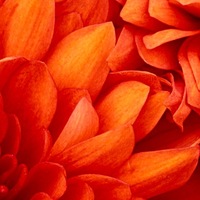Анатолий Лебедкин | Первоуральск