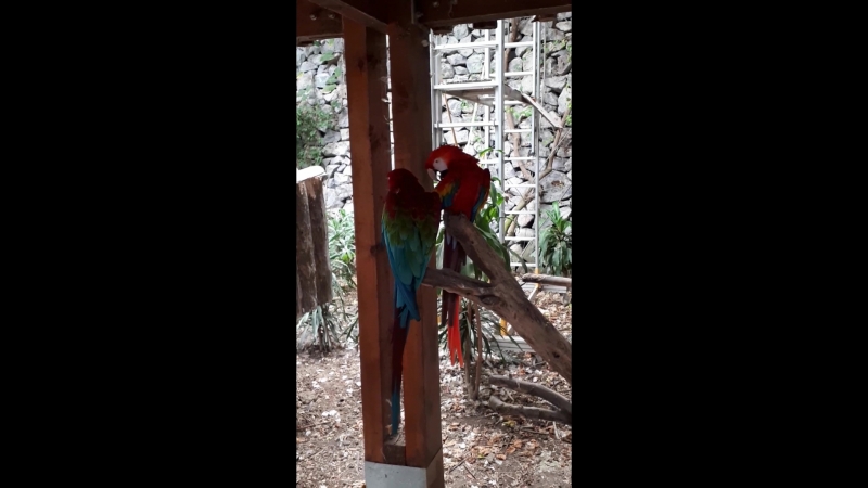 20180925_120840.mp4