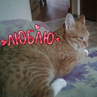 Екатерина Черняева | Вологда