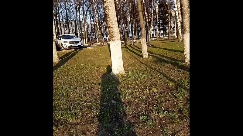 VID_63260908_205038_809.mp4