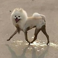 Даша Филиппова | Усть-Каменогорск