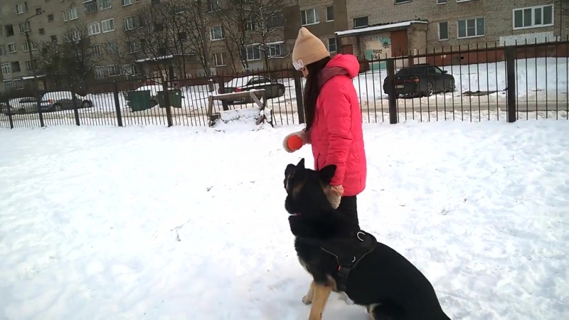 ВЕО Дон 1 год . Команда рядом