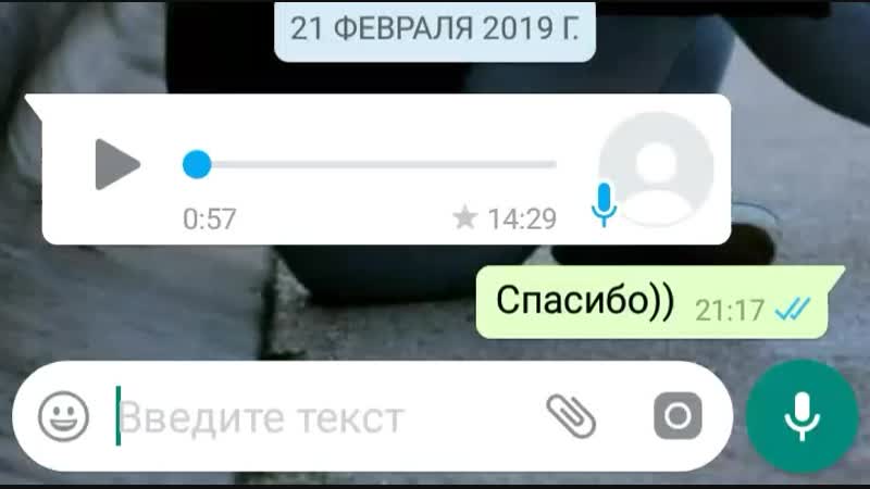 20190223_151220_edited.mp4