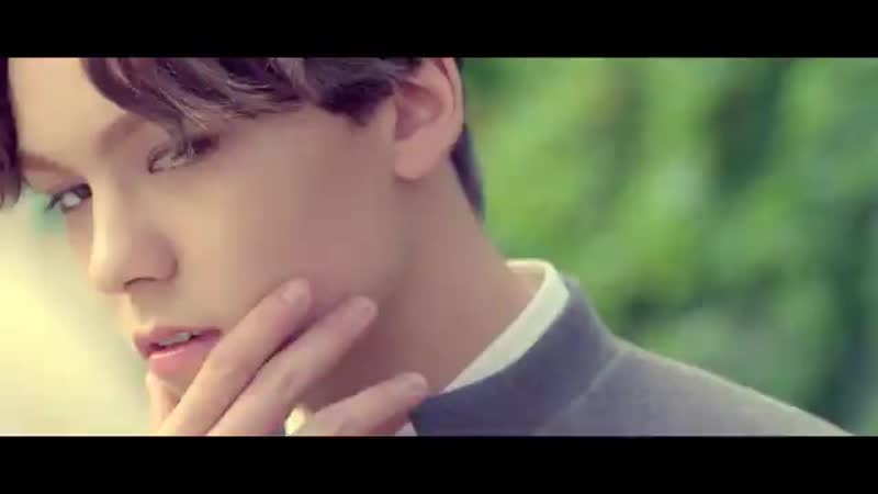 SEVENTEEN(세븐틴) - Mansae(만세) MV