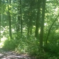 Андрей Зыков | Спасск-Дальний