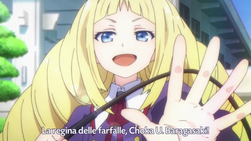 Regina delle farfalle !