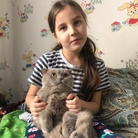 Анна Скрипка | 