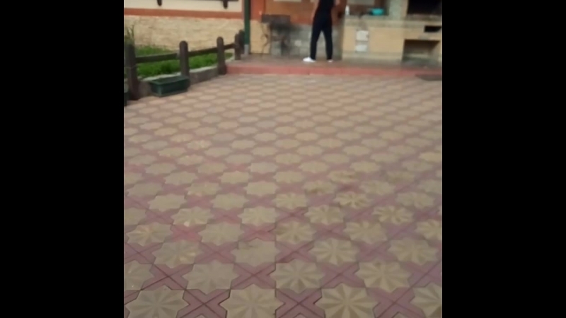 VID_20661107_205515_181.mp4