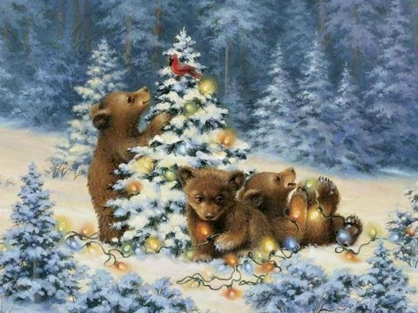НОВОГОДНЕЕ НАСТРОЕНИЕ... 