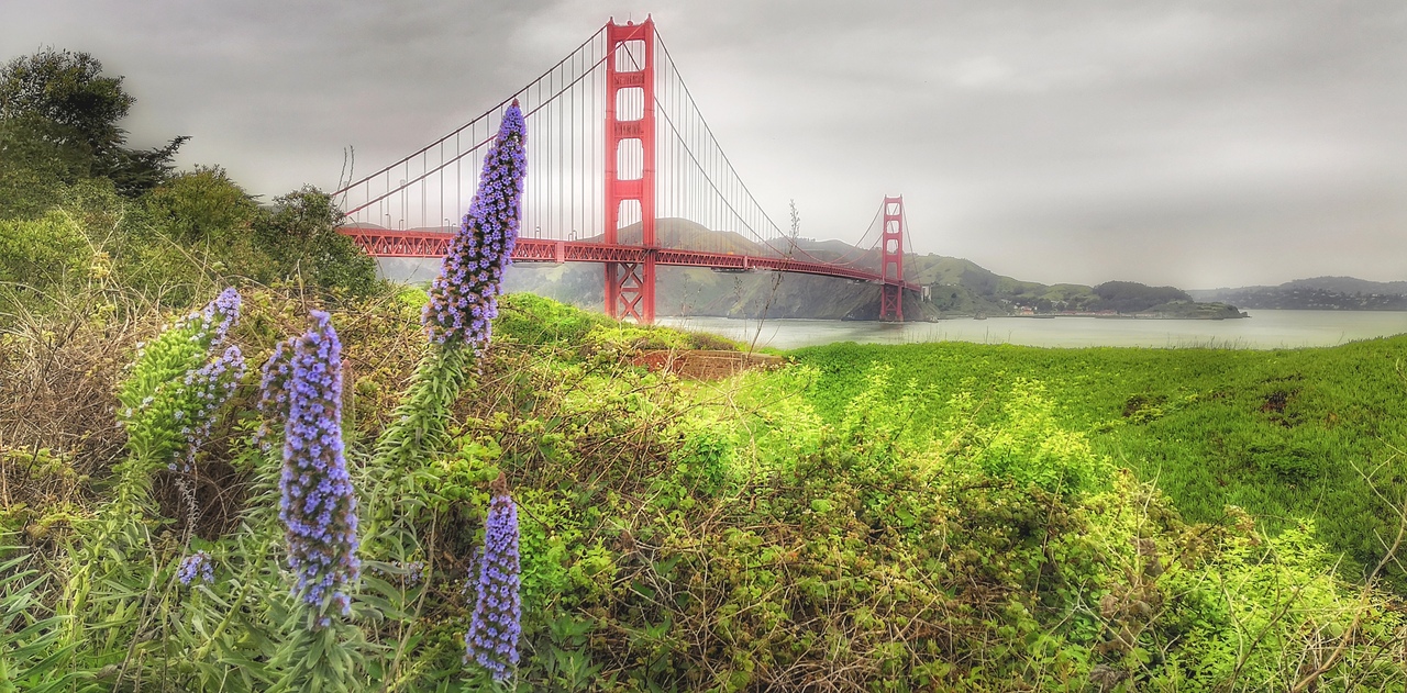 Ударим автопробегом по дикому западу! USA 2019 7-25 марта.