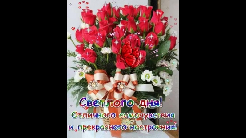 VID-20181208-WA0003.mp4