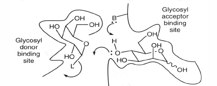 LnL4n8e2aqI.jpg