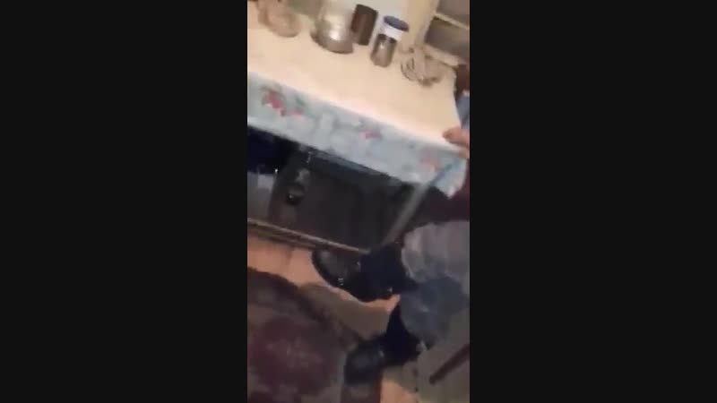 Бельченок 😂🤣😅