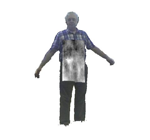 THz and thermal video data set, Thermal imaging, Terahertz images, THz, Terahertz