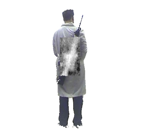 THz and thermal video data set, Thermal imaging, Terahertz images, THz, Terahertz