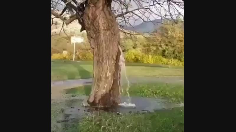 Quranmajiid20190121080916376.mp4