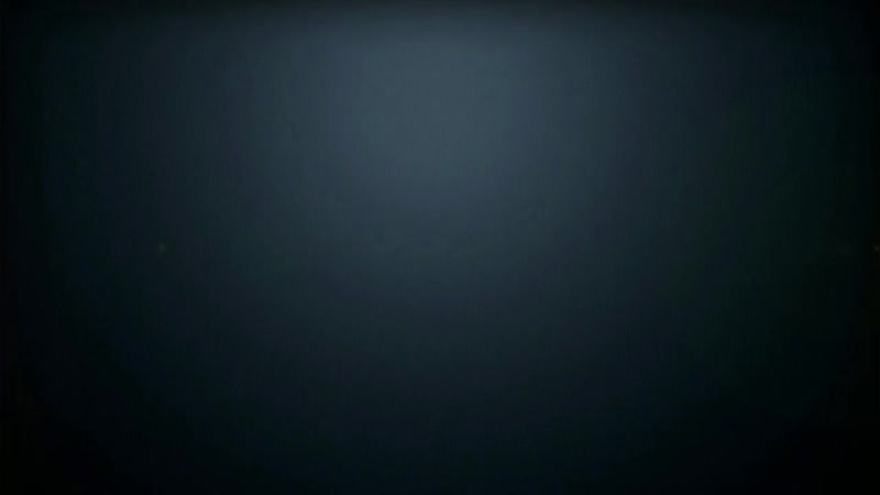 ВИЗИТЁРЫ - КУЛЬМИНАЦИЯ