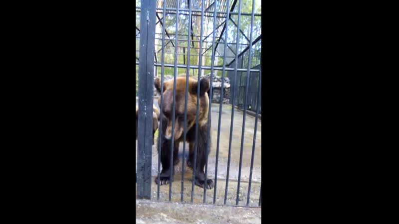 VID_20150928_111129