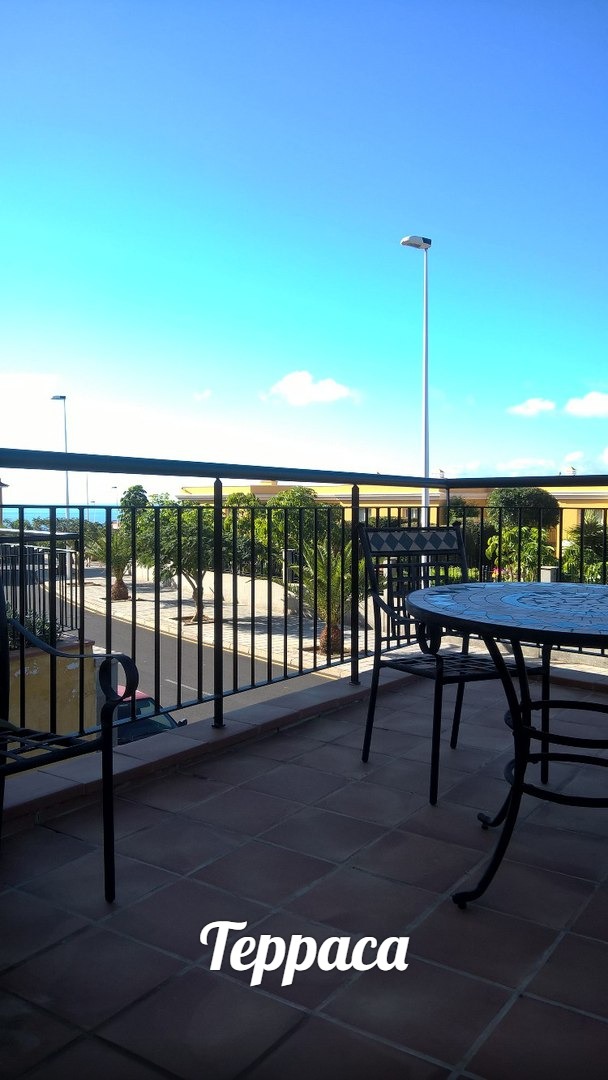 1-2 попутчиков в январе на юг Тенерифе