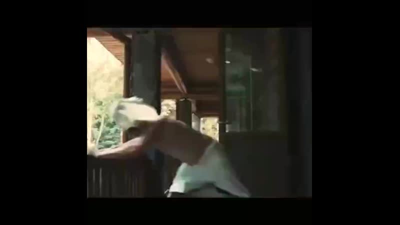 VID_24260220_172618_675.mp4