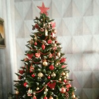 Людмила Гольцова