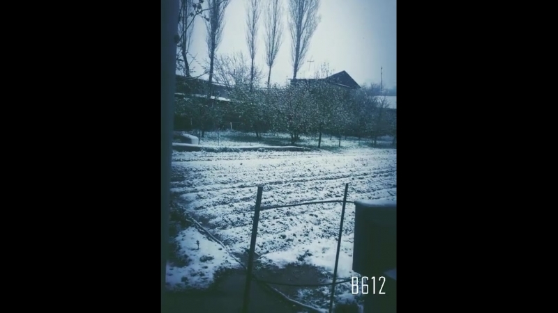 вид