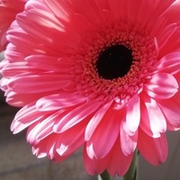 Маргарита Луговцова