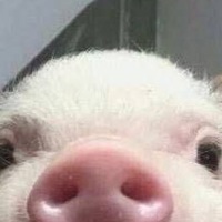 Мария Донская | Tokyo