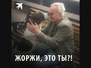 Жоржи, это ты?!
