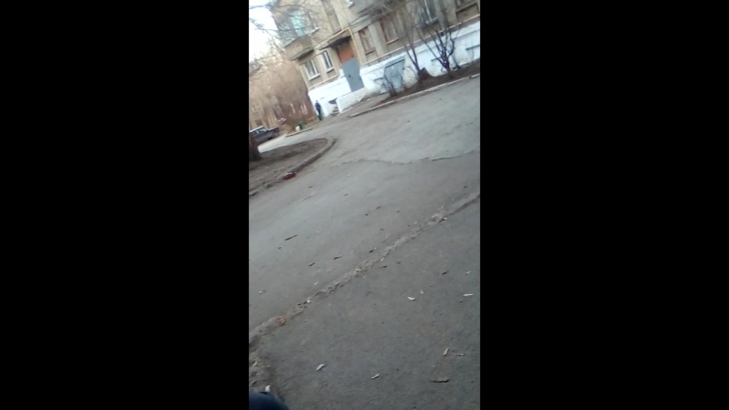 Малые братки🤣