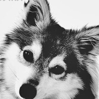 Анастасия Масленникова | Усть-Катав