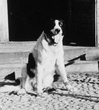 Kurt Franz