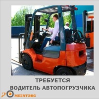 Когда день водителя погрузчика