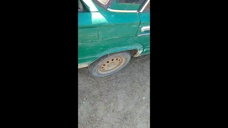 Алигатор на минималках...