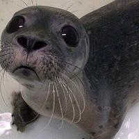 Мария Фролова