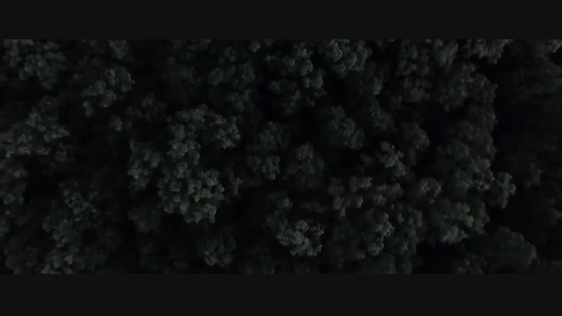 1_5640898781143629831.mp4